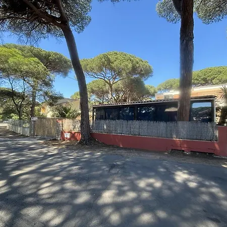 Villa Au Port D'hyeres Avec Terrasse, Veranda Et Clim - Proche Plages Et Commerces - Fr-1-335-158